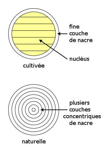 Création de la perle 